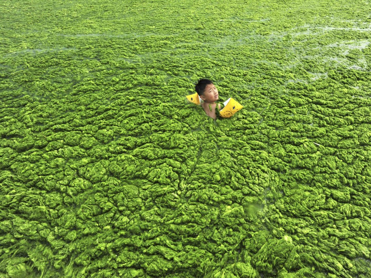 Зеленая вода в море