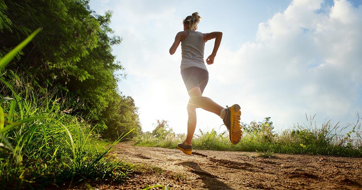 ��������� ������� ���������������: ����.