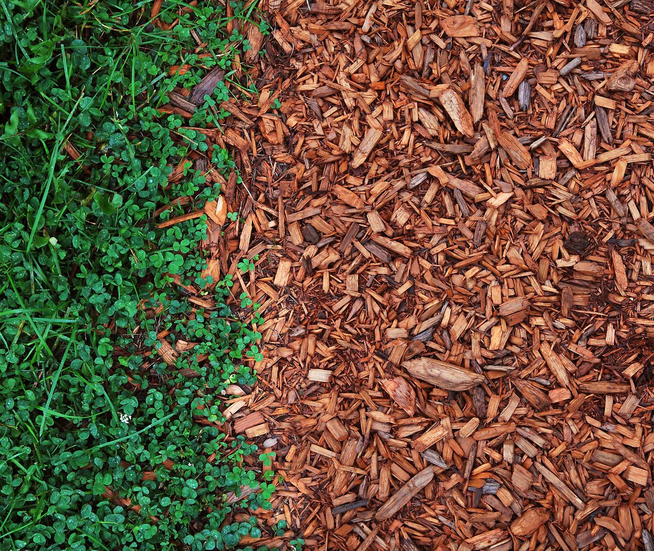 Мульчирование почвы корой лиственницы фото
