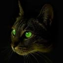 Фотопост: цвета и кошачьи глаза