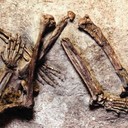 Самые древние останки человека: 8 находок