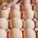 Как следует хранить яйца? Полезные советы