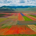 Равнины Кастеллуччо, уникальное цветочное шоу