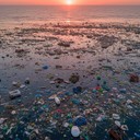 Тихоокеанское мусорное пятно стало настоящей экосистемой, где живут и размножаются виды