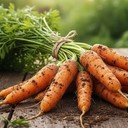 Морковь - простой корнеплод с неожиданно мощной пользой