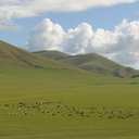 Почему Монголия остаётся одной из самых незаселённых стран мира