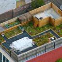 Сады на крышах домов