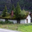 Зелёные крыши в Норвегии