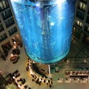 Отель AquaDom и крупнейший в мире аквариум-цилиндр