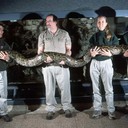 Питон. Самая длинная змея в мире