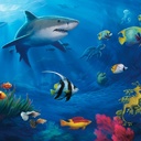 Семь чудес подводного мира