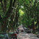 Руа-Гонсалу-де-Карвальо. Самая красивая улица в мире