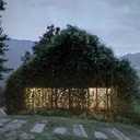 Green Box: Дом, поглощенный растительностью