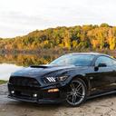 Ford Mustang 2015 от Roush