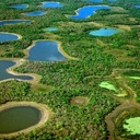 Пантанал - самое большое болото в мире