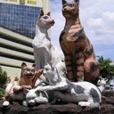 Памятники котам и кошкам