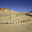 Египет открывает первый музей окаменелостей Ближнего Востока