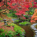 Японские сады Бучарта