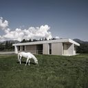 Брутальный ветеринарный офис в Австрии