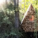 Уютный лесной домик-скворечник