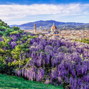Сад Бардини во Флоренции