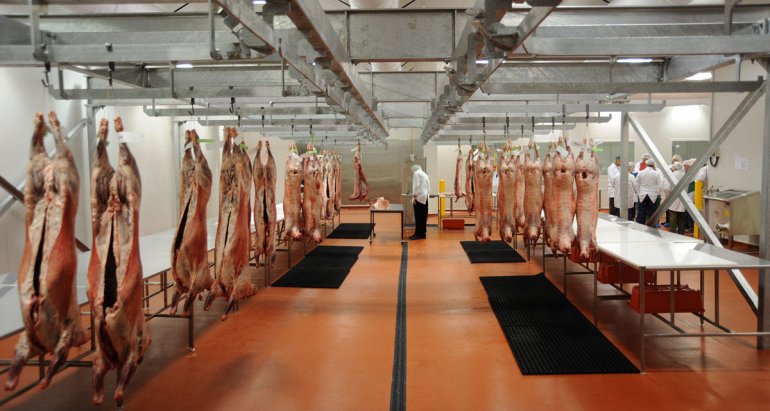 Водоотвод на предприятиях мясоперерабатывающей промышленности