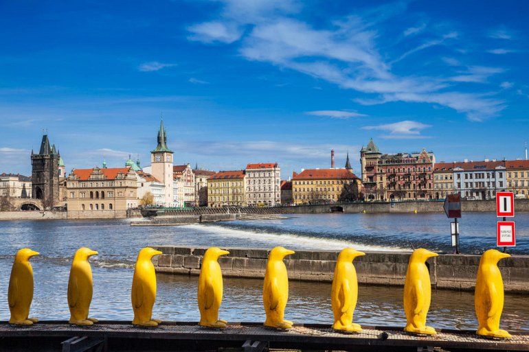 желтые пингвины в Праге