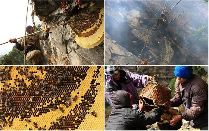 охотники за медом в непале