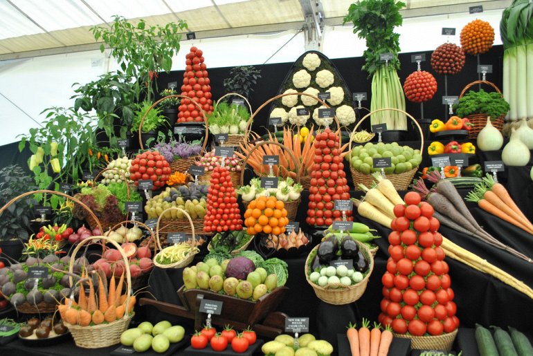 выставка цветов и красивые овощи