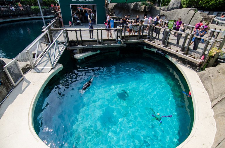 аквариум Ванкувера в парке Стэнли