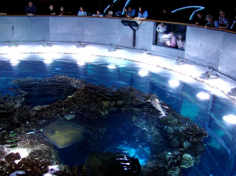 аквариум Бостона