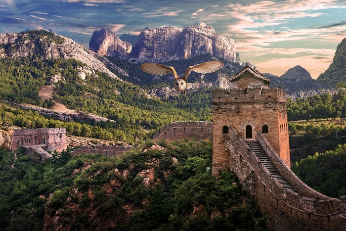 сова летит над китайской стеной