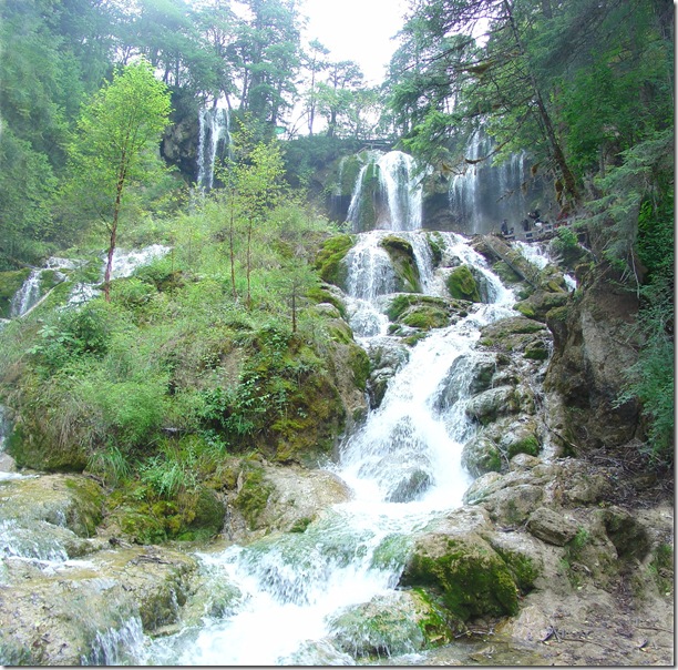Panda_Falls_-_Jiuzhaigou_valley