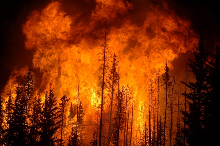 сильный лесной пожар