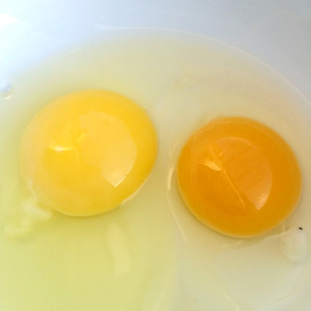 яйцо с двумя желтками