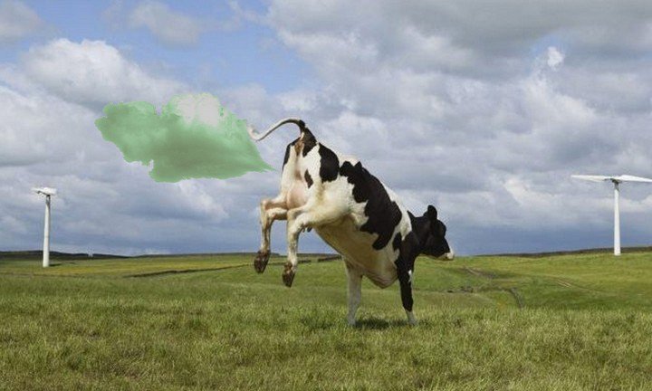 коровы и метан