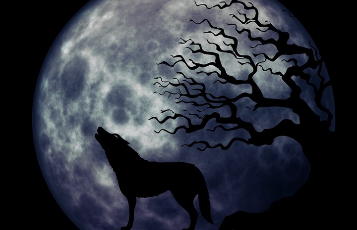 Изображения по запросу Волк воет луну