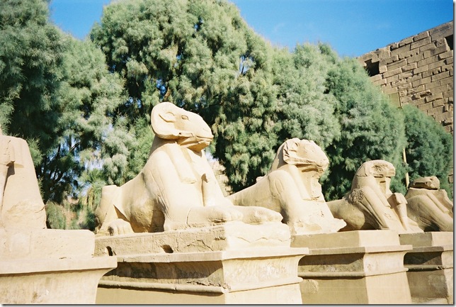 avenue-of-sphinxes