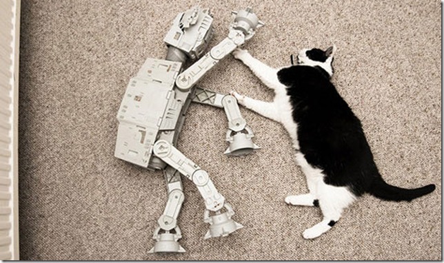 at-and-t-and-cat