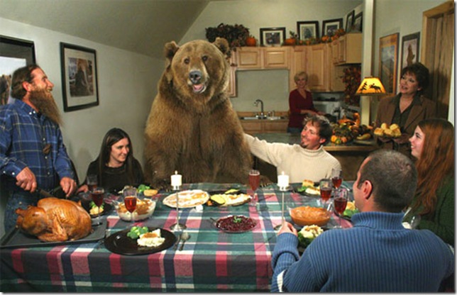 bear-at-thanksgiving-day