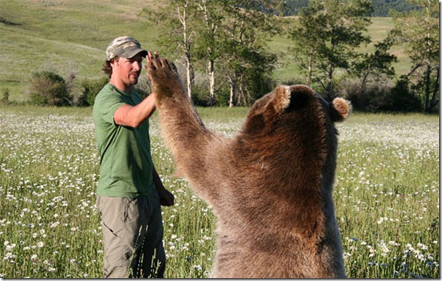 give-me-five-man-and-bear