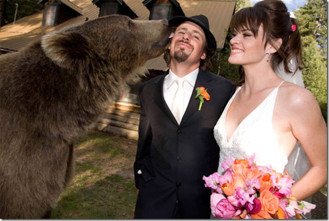 wedding-bear-kiss