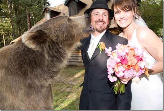 wedding-with-bear
