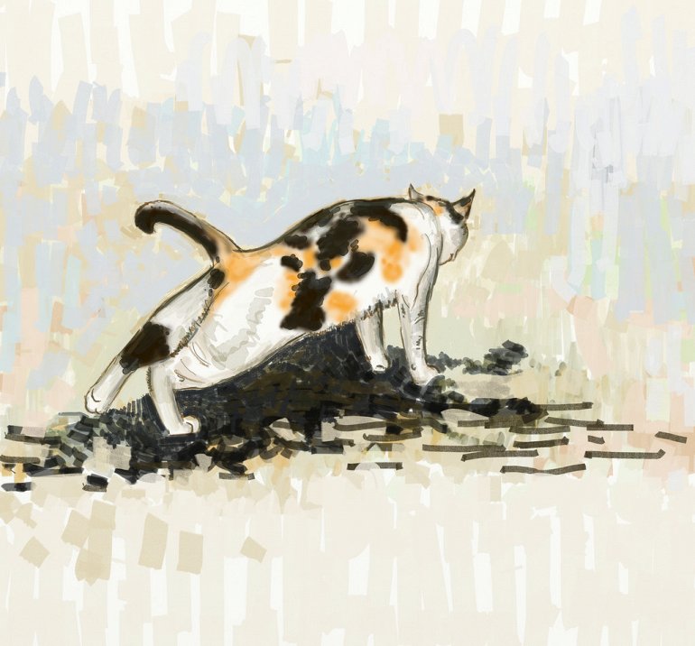 рисунок с кошкой