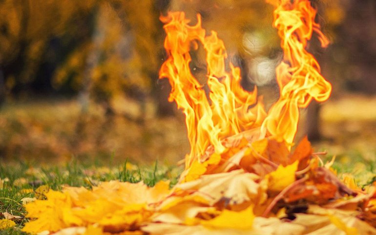 сжигание листвы