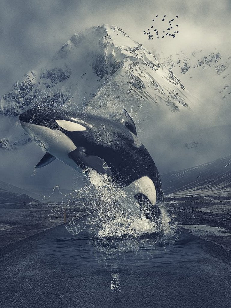 кит прыгает из воды
