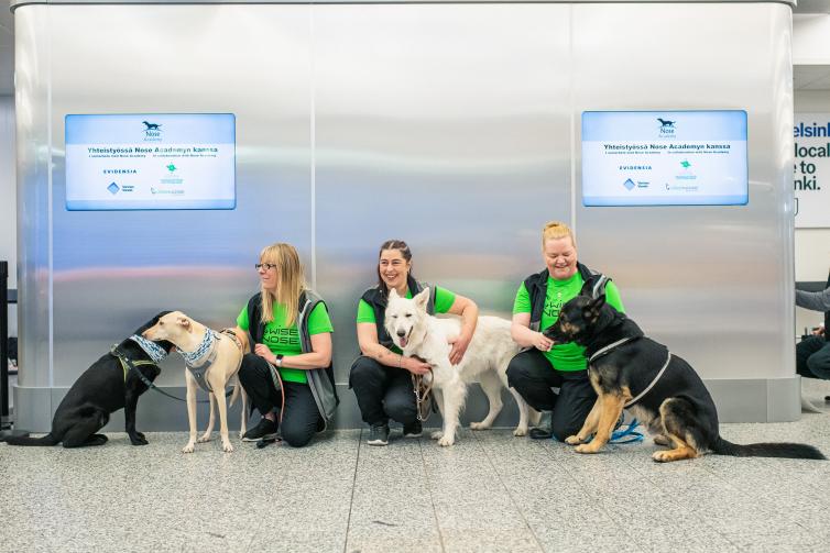 служебные собаки в аэропорту