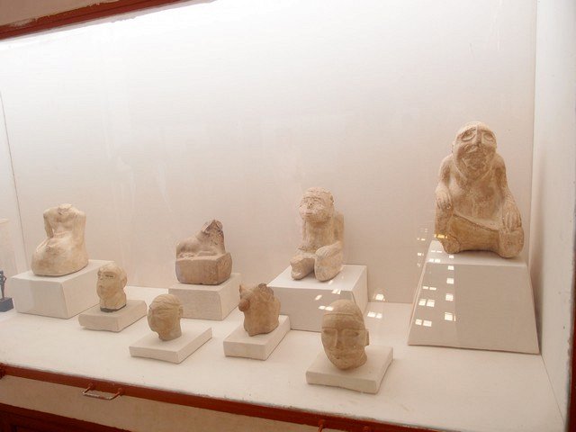 экспонаты в музее