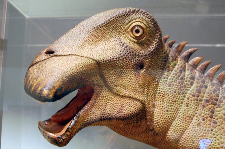 У какого динозавра 500 зубов мем в чем прикол