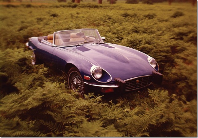 Jaguar2